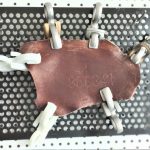 Lederspannklammern & Fellnägel